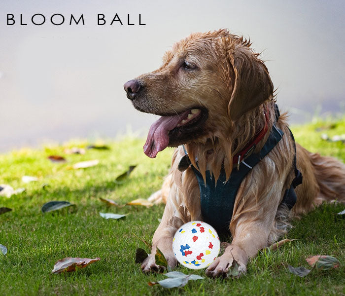 Pawfectpals Tough Bouncy Durable Bloom Ball for Aggressive Chewers, TPR Technology, Floating Rubber Ball, Easy to Clean, High Bounce Rate (Spotted)