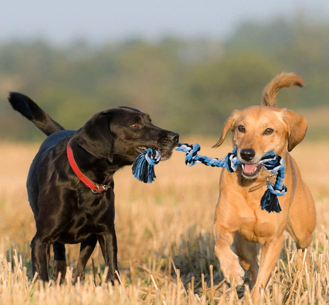 Pawfectpals Tough Twisted Dog Chew Rope Toy Teething and Tug of War for Aggressive Chewers (5 Knots-Blue)
