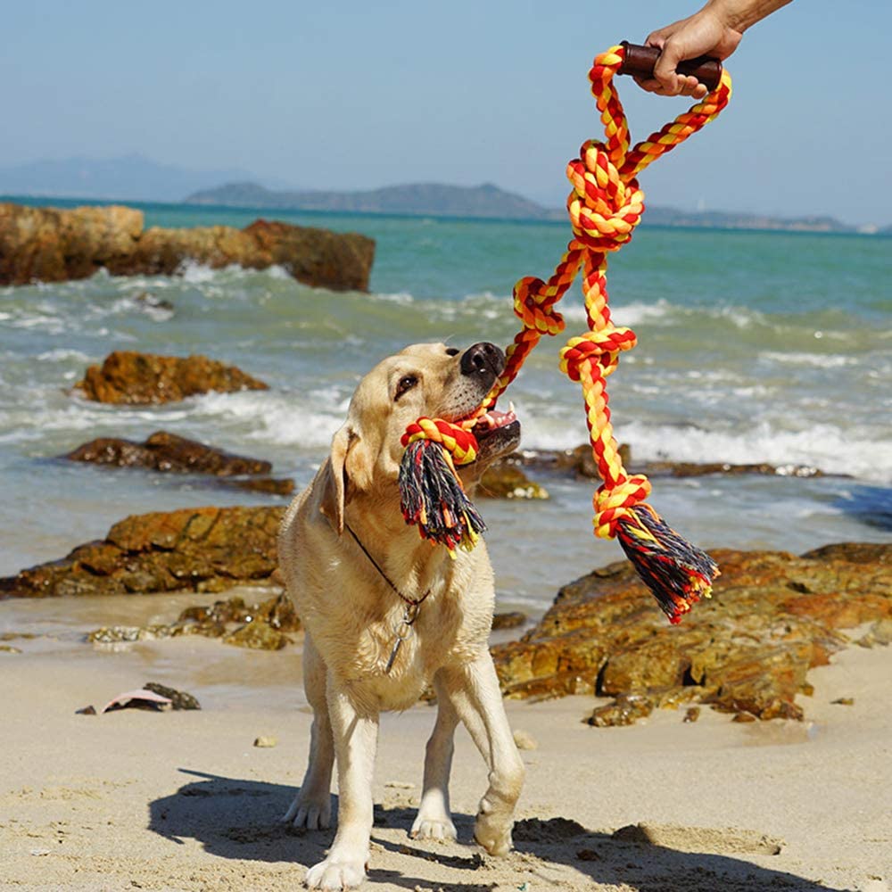 Pawfectpals Tough Twisted Dog Chew Rope Toy Teething and Tug of War for Aggressive Chewers (One Handle-Orange)