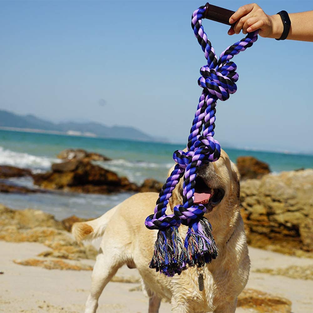Pawfectpals Tough Twisted Dog Chew Rope Toy Teething and Tug of War for Aggressive Chewers (Handle- Purple)