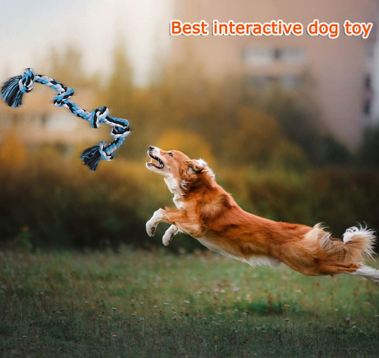 Pawfectpals Tough Twisted Dog Chew Rope Toy Teething and Tug of War for Aggressive Chewers (5 Knots-Blue)