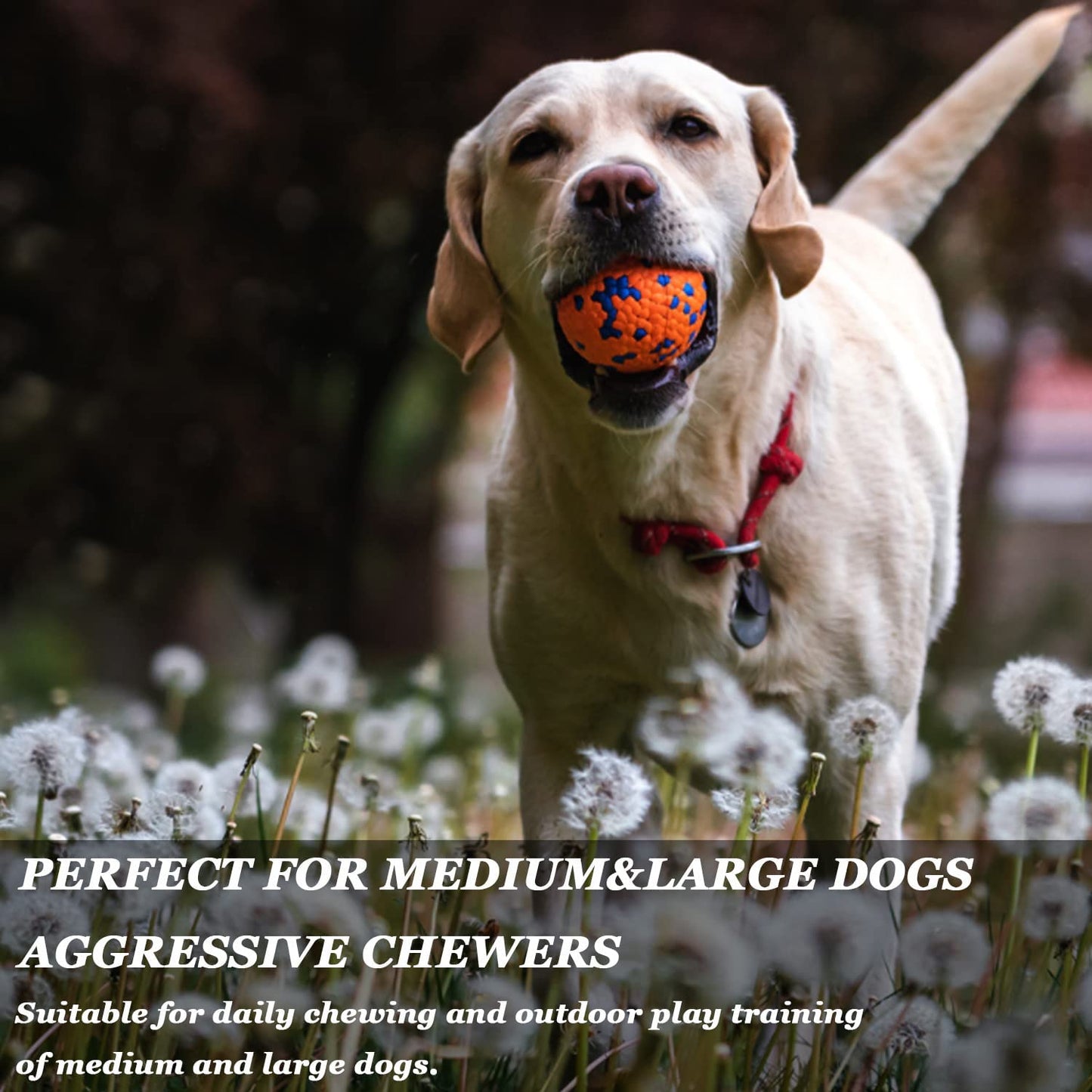 Pawfectpals Tough Bouncy Durable Bloom Ball for Aggressive Chewers, TPR Technology, Floating Rubber Ball, Easy to Clean, High Bounce Rate (Orange and Blue)