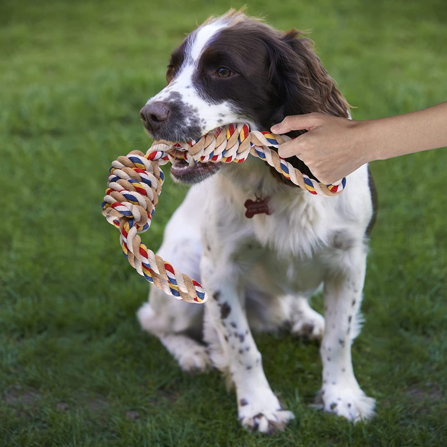 Pawfectpals Tough Twisted Dog Chew Rope Toy Teething and Tug of War for Aggressive Chewers (Double Grip Loops and Knots)