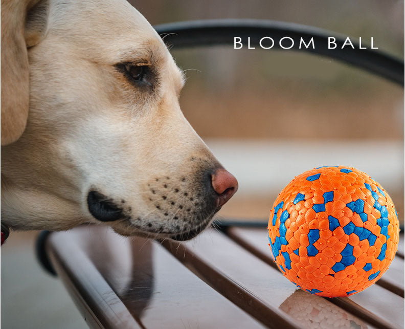 Pawfectpals Tough Bouncy Durable Bloom Ball for Aggressive Chewers, TPR Technology, Floating Rubber Ball, Easy to Clean, High Bounce Rate (Orange and Blue)