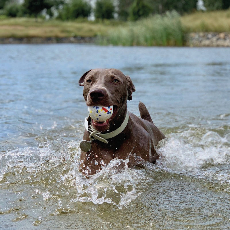Pawfectpals Tough Bouncy Durable Bloom Ball for Aggressive Chewers, TPR Technology, Floating Rubber Ball, Easy to Clean, High Bounce Rate (Spotted)