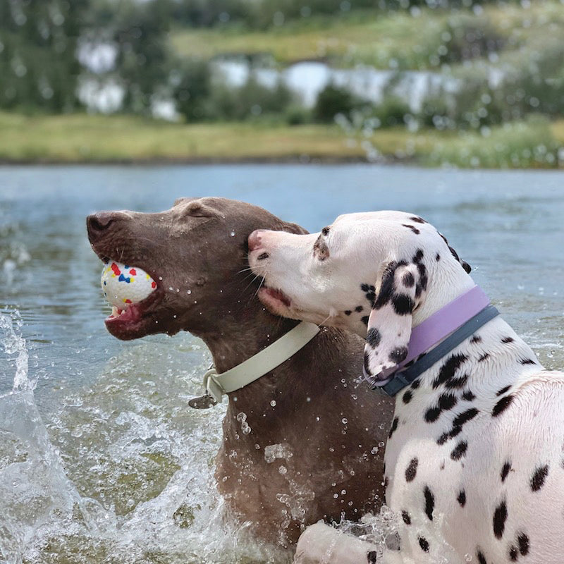 Pawfectpals Tough Bouncy Durable Bloom Ball for Aggressive Chewers, TPR Technology, Floating Rubber Ball, Easy to Clean, High Bounce Rate (Spotted)