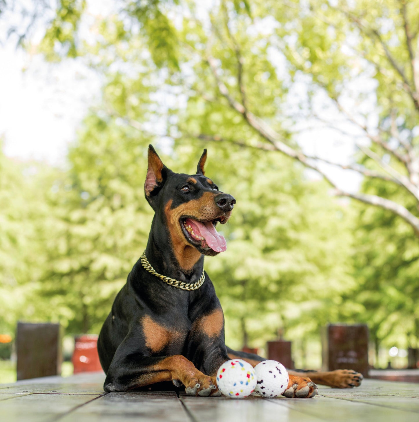 Pawfectpals Tough Bouncy Durable Bloom Ball for Aggressive Chewers, TPR Technology, Floating Rubber Ball, Easy to Clean, High Bounce Rate (Spotted)