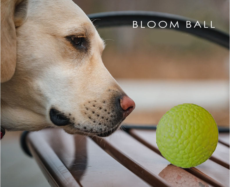 Pawfectpals Tough Bouncy Durable Bloom Ball for Aggressive Chewers, TPR Technology, Floating Rubber Ball, Easy to Clean, High Bounce Rate (Green Velvet)