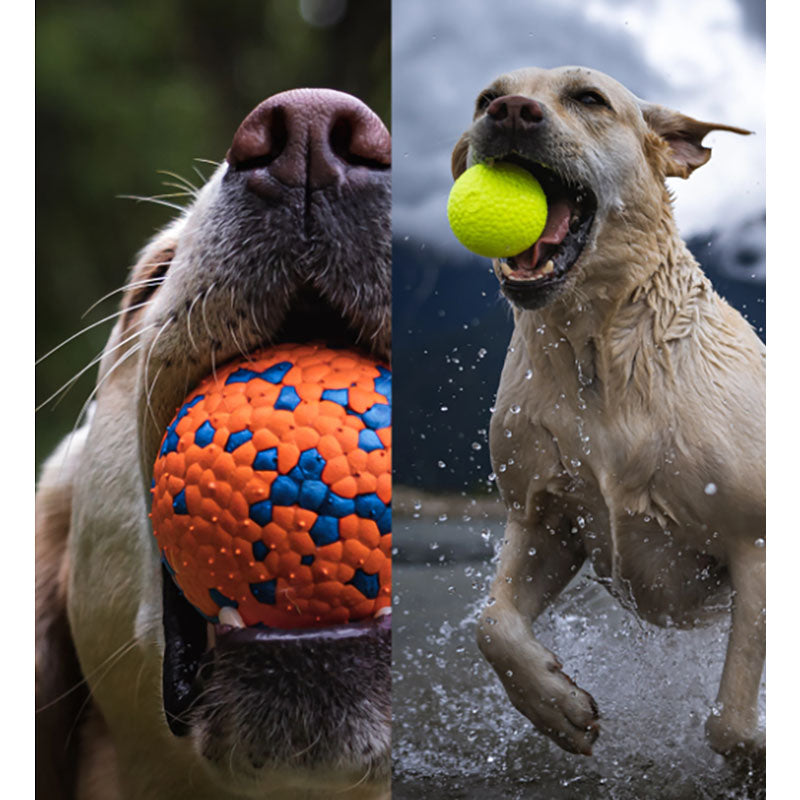 Pawfectpals Tough Bouncy Durable Bloom Ball for Aggressive Chewers, TPR Technology, Floating Rubber Ball, Easy to Clean, High Bounce Rate (Orange and Blue)