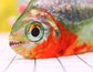 PawfectPals Interactive Touch Sensitive Fish Toy with Catnip (Big Eyed Marine Fish)