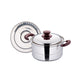 Stainless steel Cherry Steamer Pot 20cm