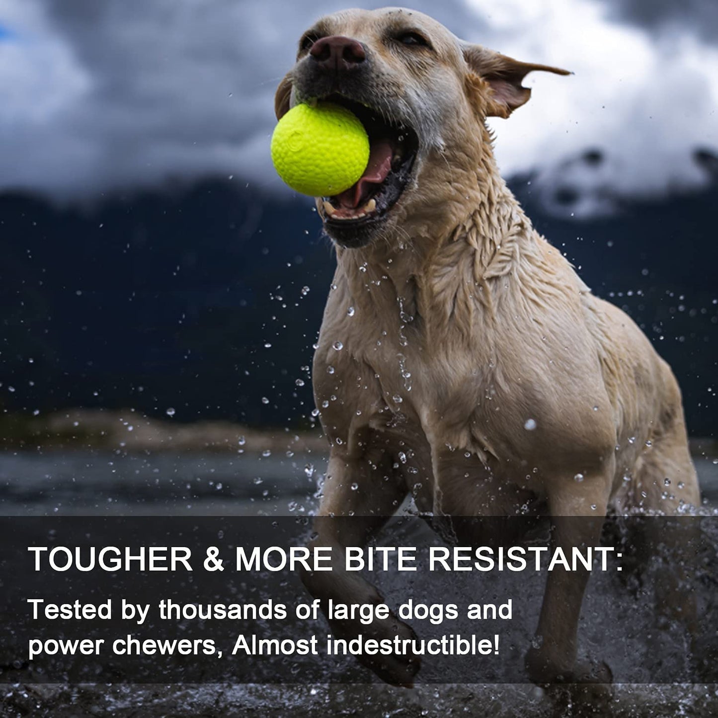 Pawfectpals Indestructible Toughest Bouncy Durable Bloom Ball for Aggressive Chewers, TPR Technology, Floating Rubber Ball, Easy to Clean, High Bounce Rate (Green Velvet)