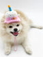 HBD,Cupcake, Birthday, Birthday toy, Hat, Dog, Cat, Toy, Squeaky, Pet Toy, Pet Supply, Dog Toys, Cat Toys, Interactive, Happy birthday, Puppy