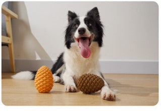 Heavy Duty Pinecone Durable Natural Rubber Dental Teeth Cleaning Dog Feeder Chew Toy for Large and Medium Dogs- Insert Food or Treats Inside!